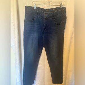 CURVE Appeal Jeans Total Control Size 16/33